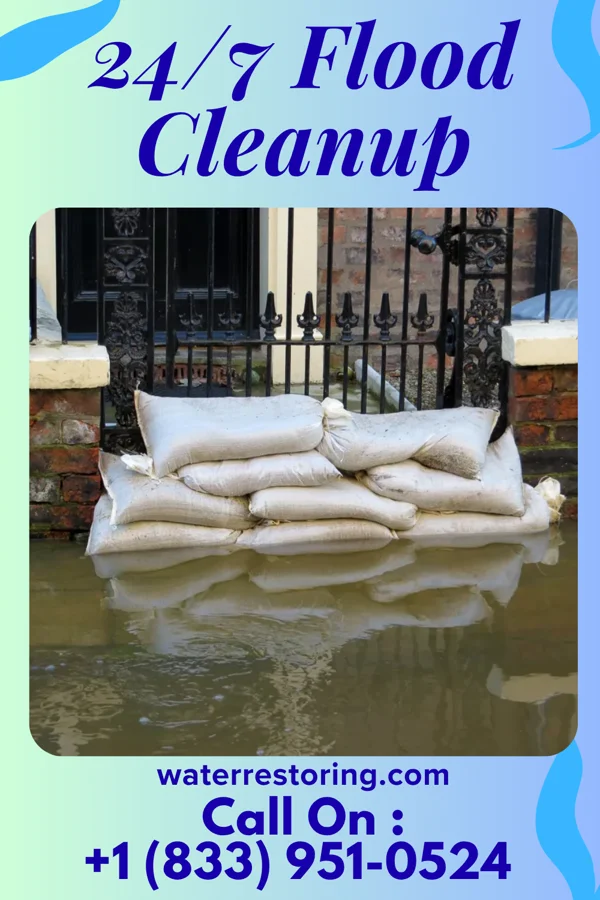 24/7 Flood Cleanup in East Gull Lake, MN