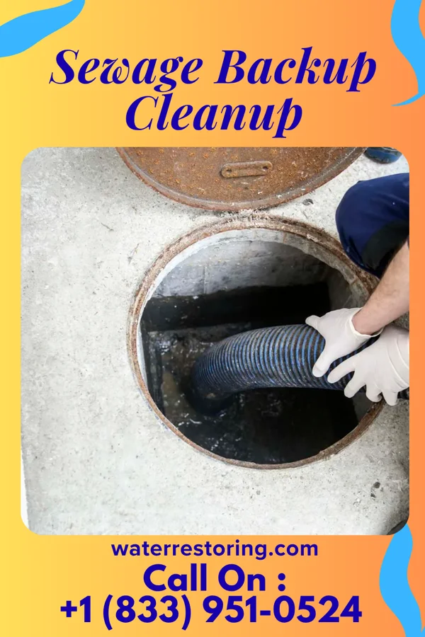 Sewage Backup Cleanup in East Gull Lake, MN
