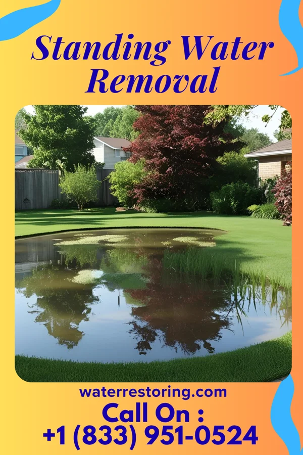 Standing Water Removal in East Gull Lake, MN
